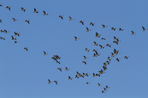 No matter how complicated, Carter Tech can handle your migration